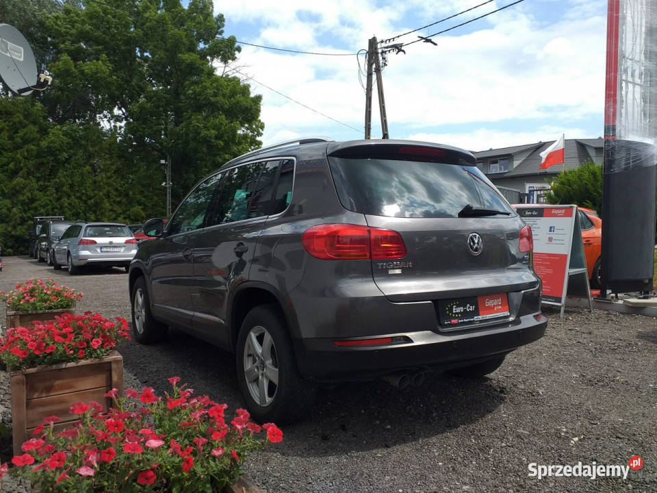 Volkswagen Tiguan I 20072016 lakier metallic Janów Lubelski