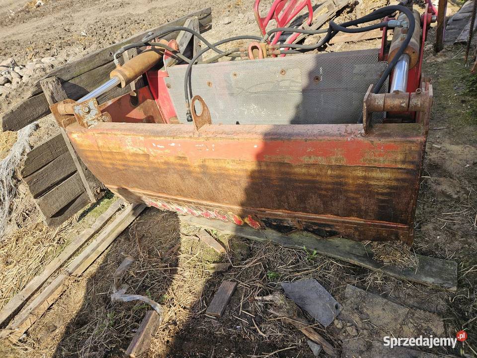 Wycinak szczękowy Krzewata