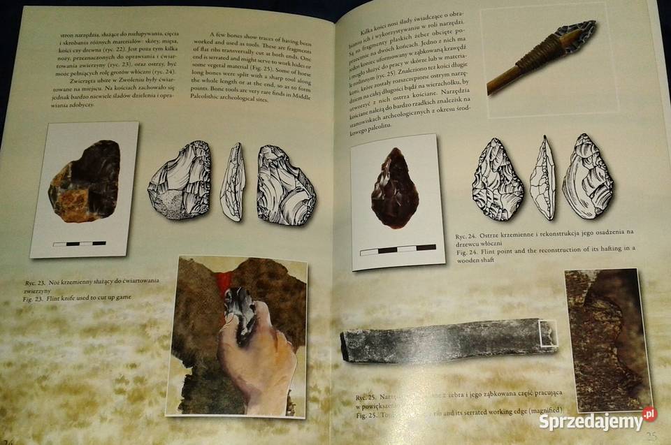 Zwoleńscy łowcy z epoki kamienia Elżbieta Chełm sprzedam