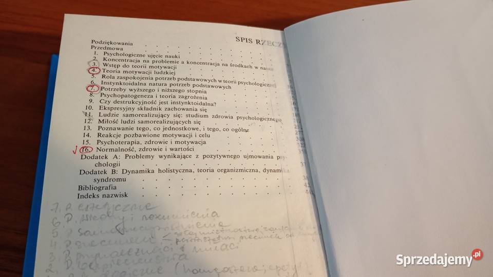 Motywacja i osobowość Abraham H Maslow przeł Gdańsk