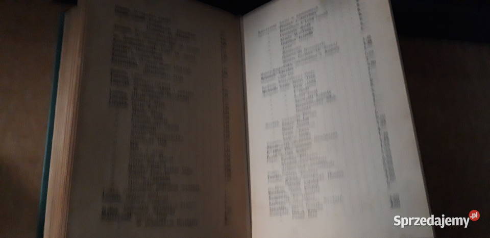 JOCURWOŚRÓD MORMONÓW 1929opr pierwodruk No01691 Iwno