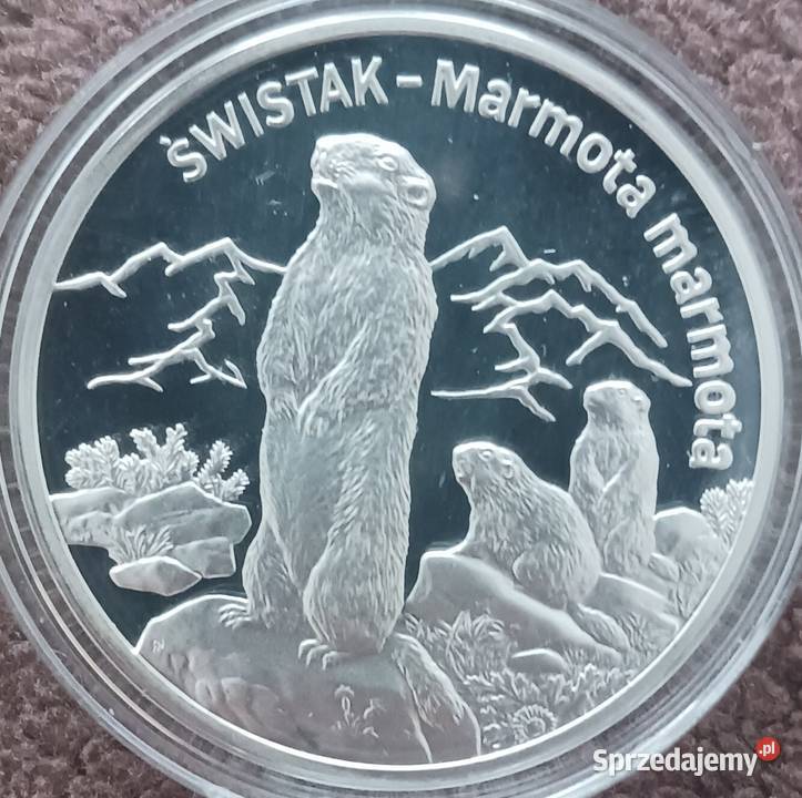 20 Świstak 2006 r Lustrzanka mennicze Konin