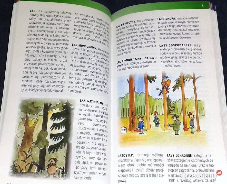 Las słowami opisany Słowniczek terminów leśnych Chełm