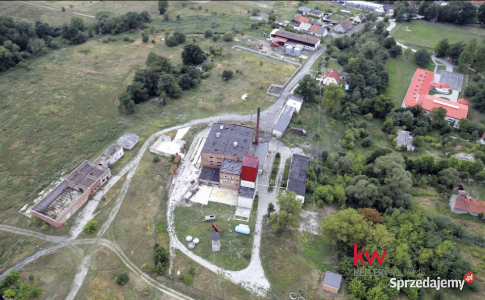 Działka na sprzedaż Grabowno Wielkie 16101m2 kanalizacja dolnośląskie