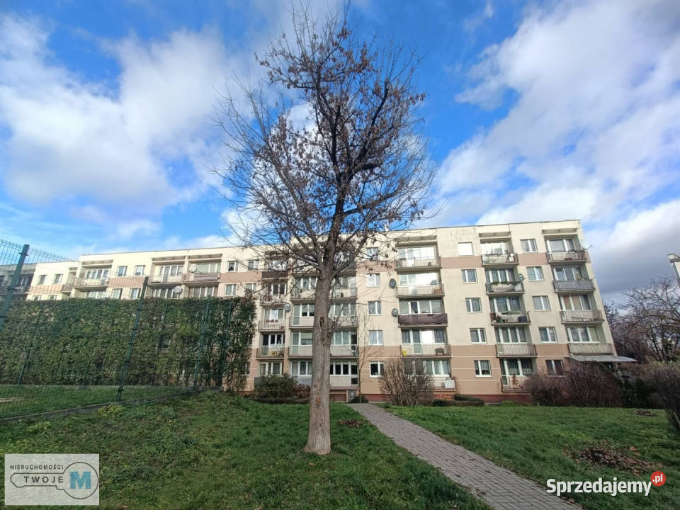 Mieszkanie sprzedam 4315m2 2pokojowe Kielce Liczba pokoi 2