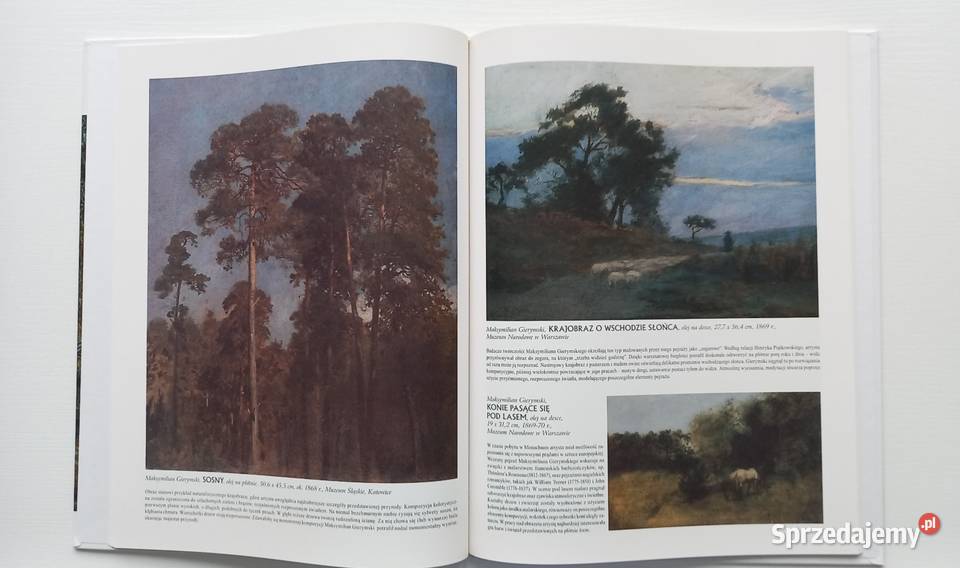 Sztuka Malarstwo Gierymski Gierymscy seria Poradniki, albumy i reportaże Kraków sprzedam