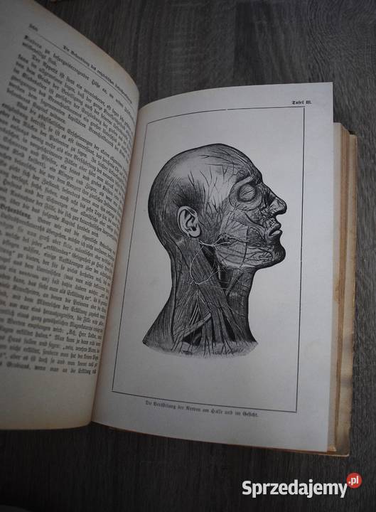 Droga do zdrowia autorstwa dr med A Mller 1921 Chełmno