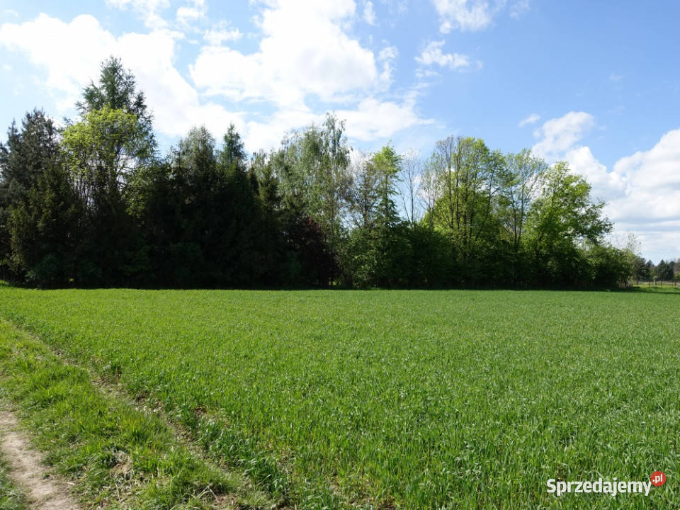 Skoczów Pruchna 115ha pod zabudowe jednorodzinną śląskie