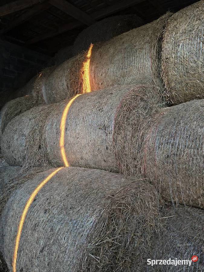 Sprzedam siano wielkopolskie Zagórów