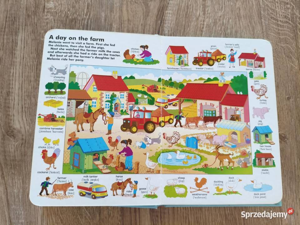 Pierwsze angielskie słówka w pracy Hajnówka