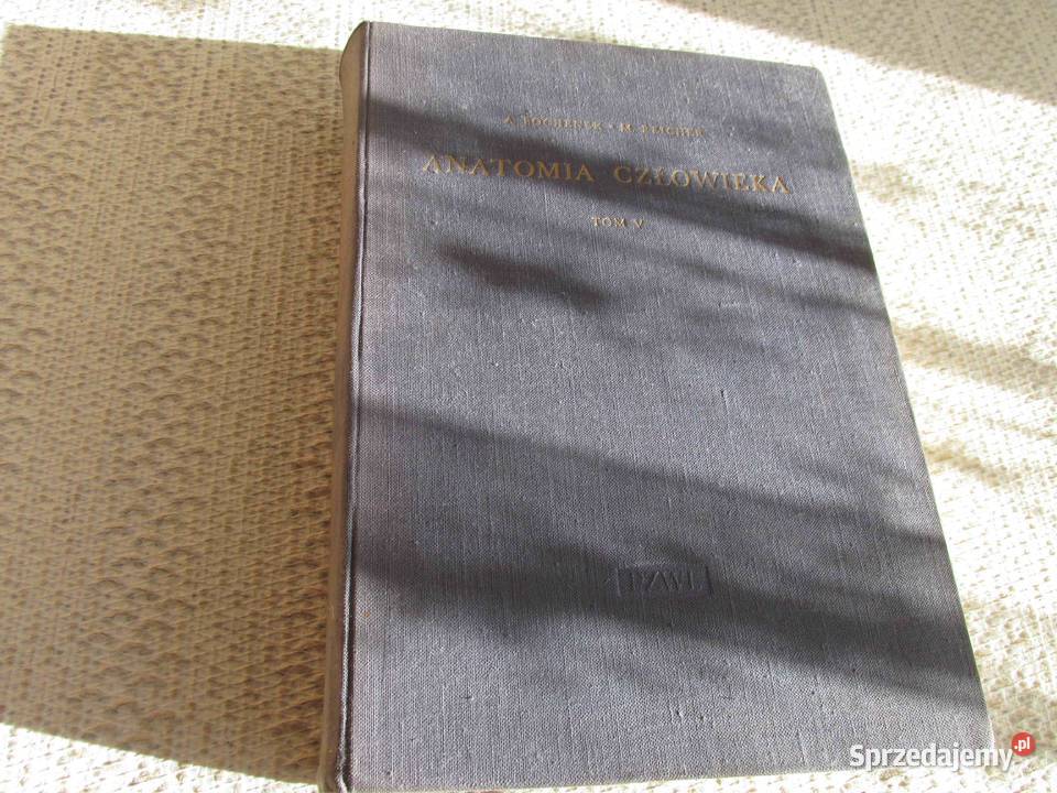 Anatomia CzłowiekaBochenek Tom 5 PZWL 1960 lubuskie Lipki Wielkie sprzedam