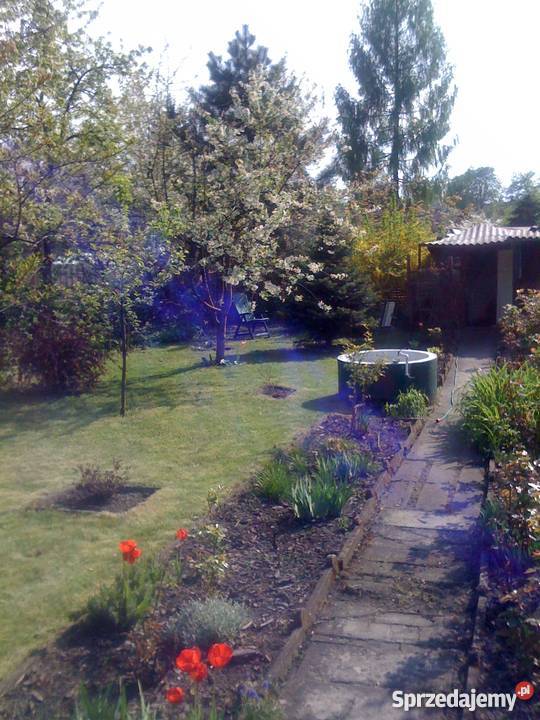 ogródek działkowy Zabrze Rymera Zabrze