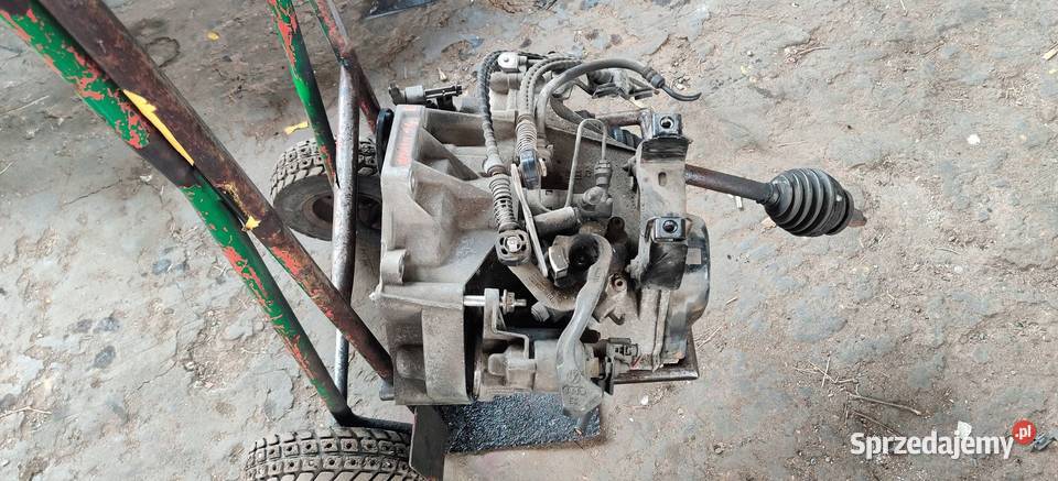 SEAT IBIZA III CORDOBA II 14B MANUALNA 5BIEGOWA Skrzynie biegów manualne Motoryzacja Rudziniec