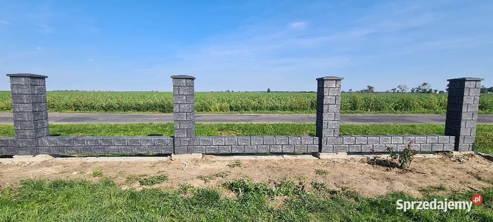 Ala Klinkier ogrodzenie ogrodzenia nowoczesne Rzeszów