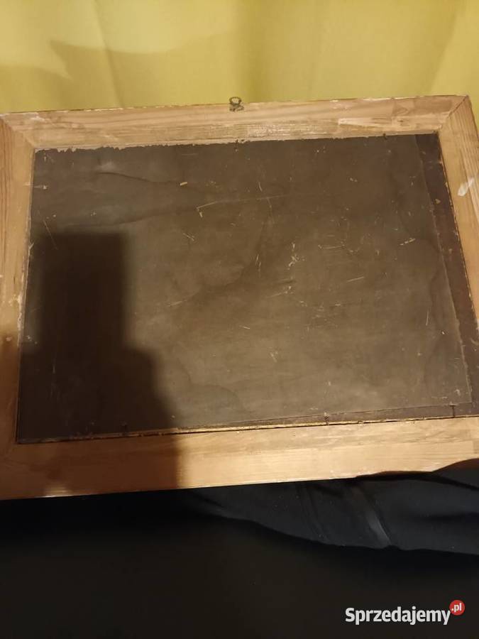 Zabudowy wiejskie wśród drzew w otoczeniu Bielsko-Biała sprzedam