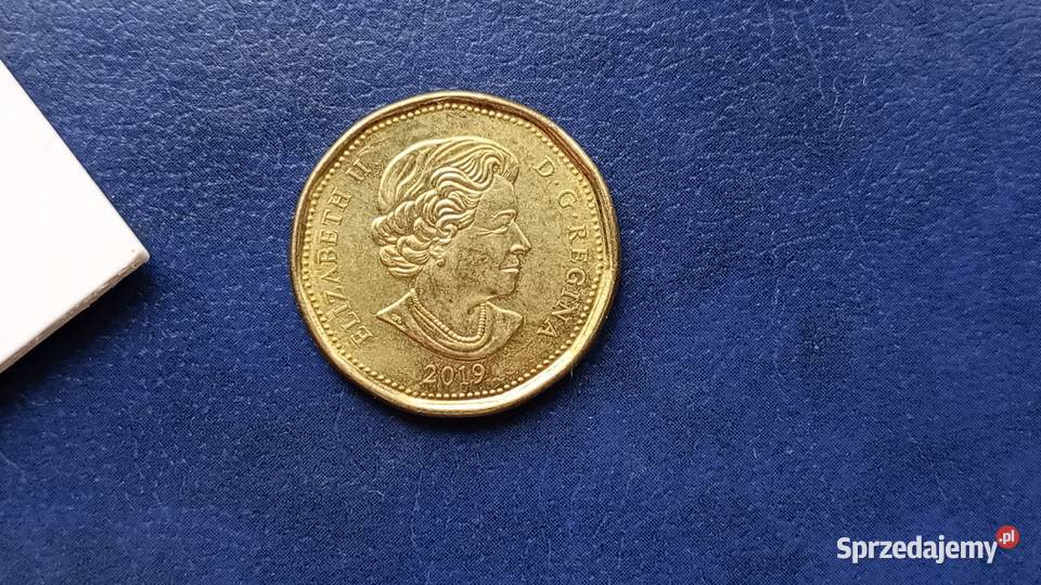 Stare monety 1 dolar 2019 Kanada
