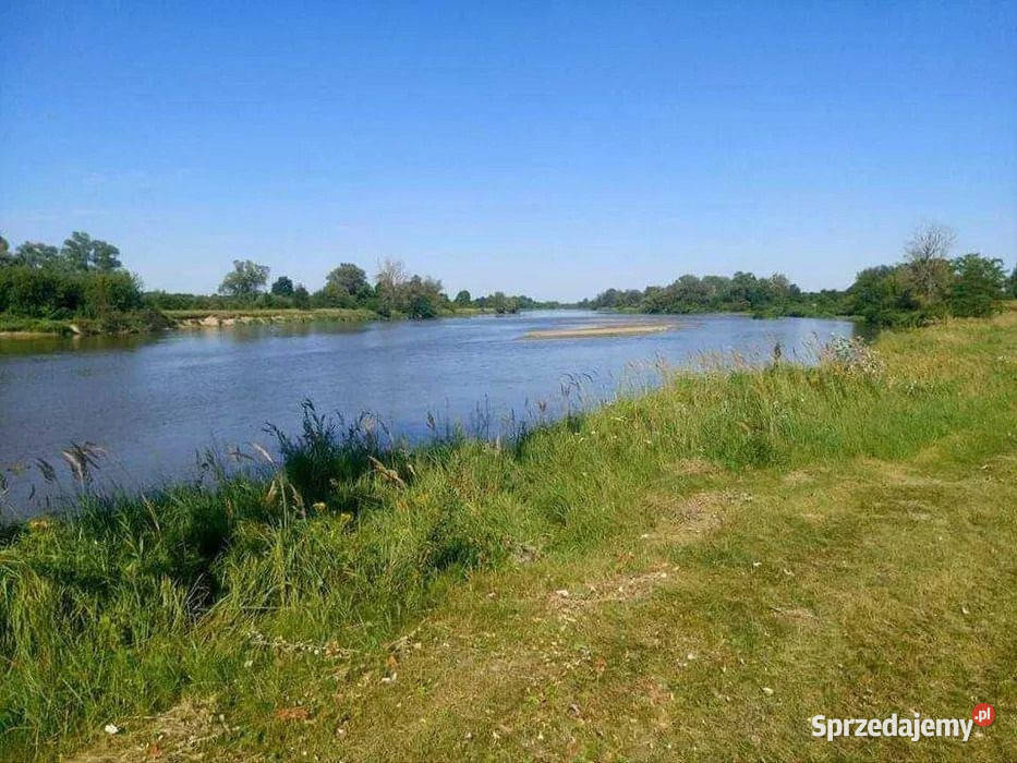 Działka Siedliskowa na sprzedaż Rażny asfalt sprzedam