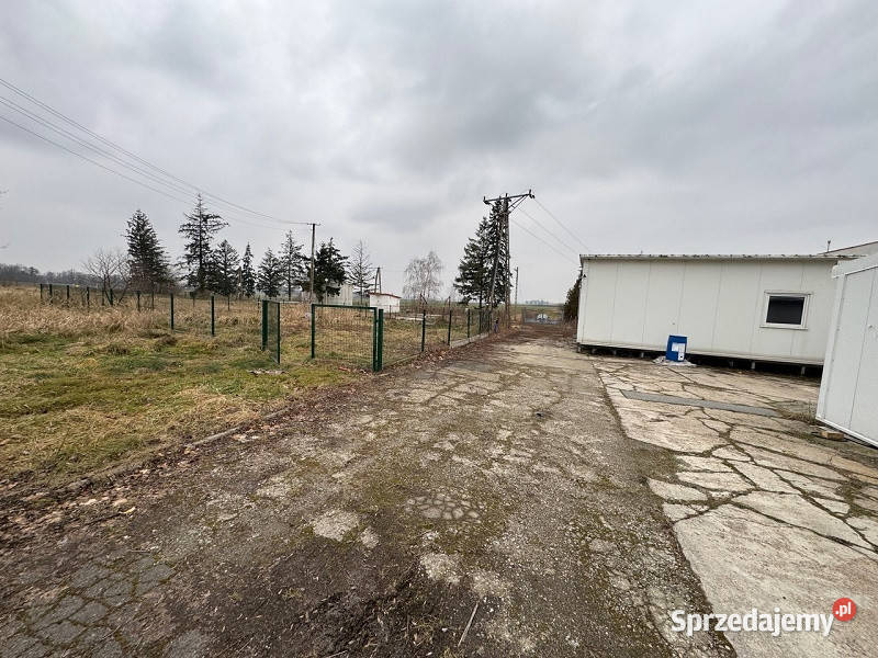 Syndyk sprzeda nieruchomość zabudowaną w Łambinowice