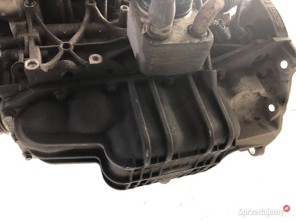 SILNIK FORD 14 97 SPJA FIESTA MK7 osobowe sprzedam