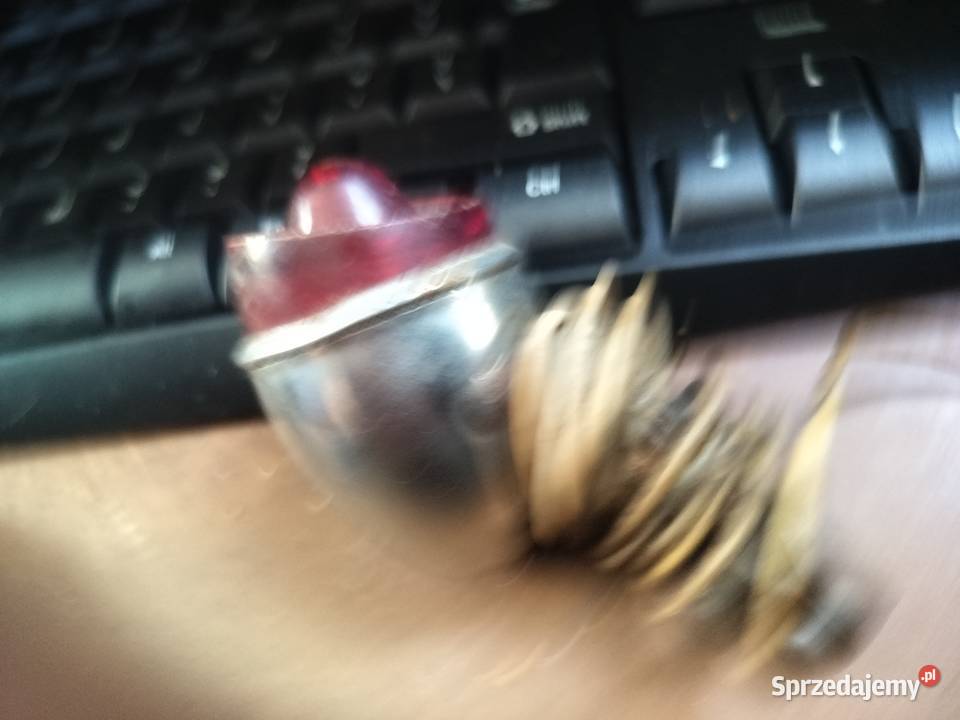 ROWER STARA TYLNA LAMPKA