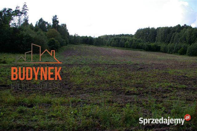 Działka rolna Lejkowo sprzedam