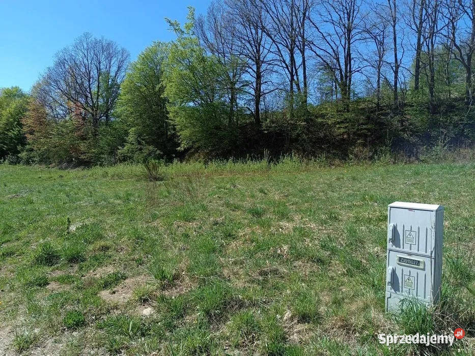 Kaszuby działka rekreacyjna 1134 m2 Przodkowo 30 pomorskie Załęże sprzedam