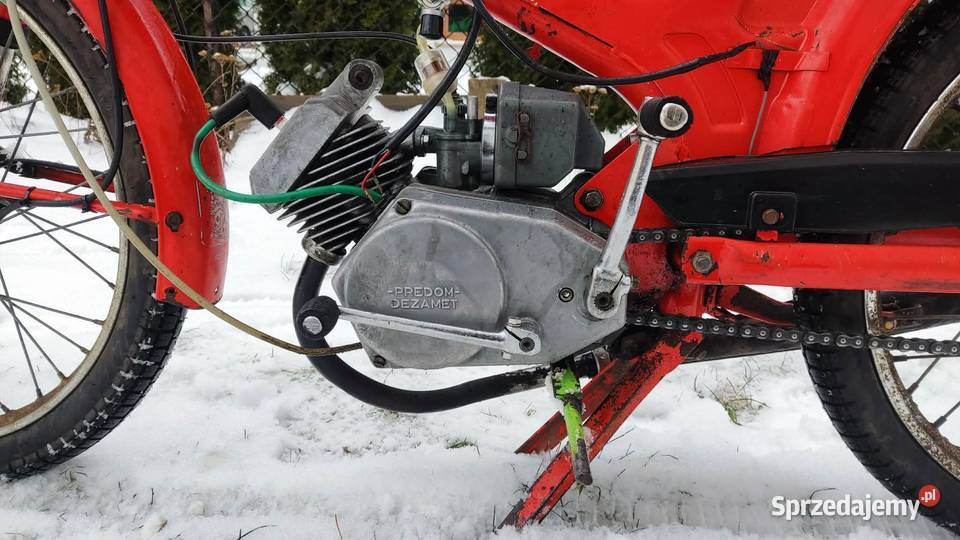 Komar Piotrków Trybunalski