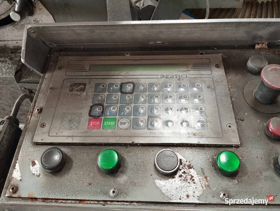 Dwupila petrici Komorze Przybysławskie