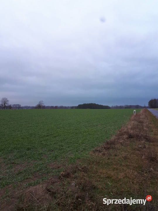 Sprzedam działki Kakawa Stara wielkopolskie Stara Kakawa sprzedam