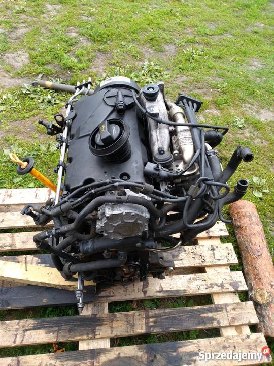 Silnik 19 tdi 105 Silniki i osprzęt Żary