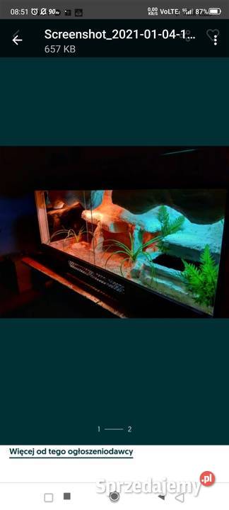 Okazja terrarium agamy gekona żółwia węża Terrarystyka