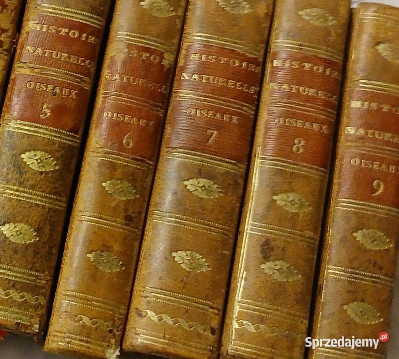 Starodruk Buffon Histoire Naturelle des Oiseaux Poznań