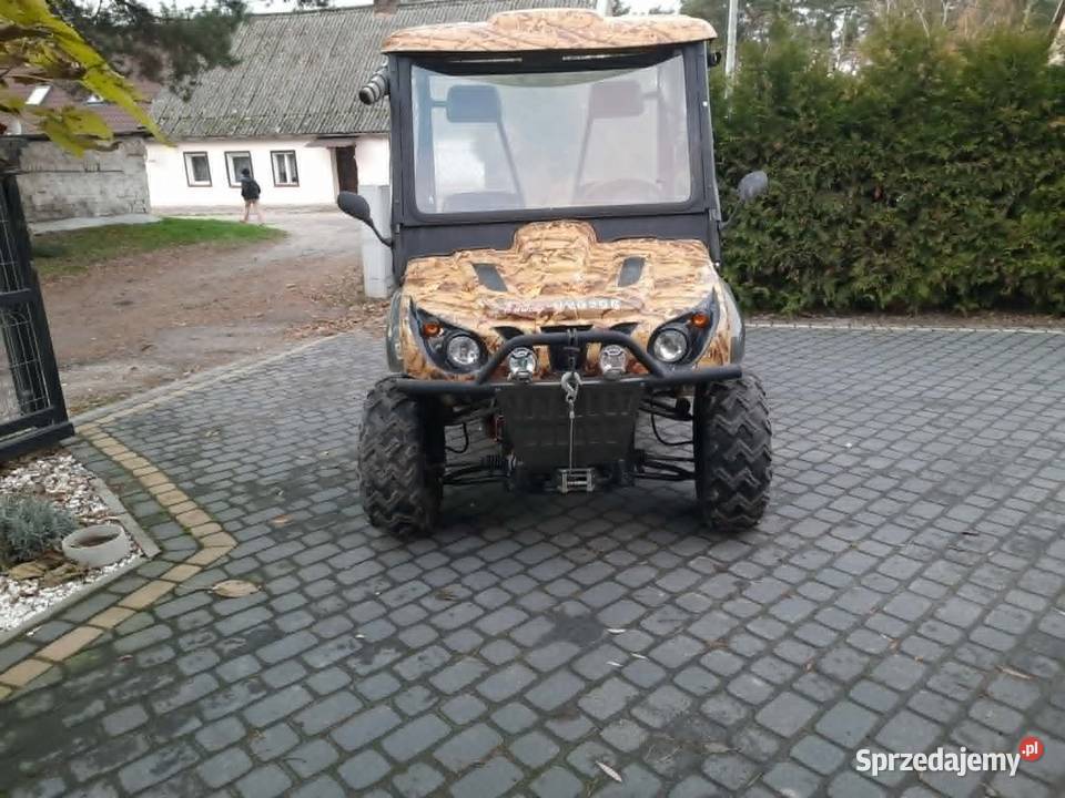 TNS UV650A BUGGY kujawsko-pomorskie Szubin