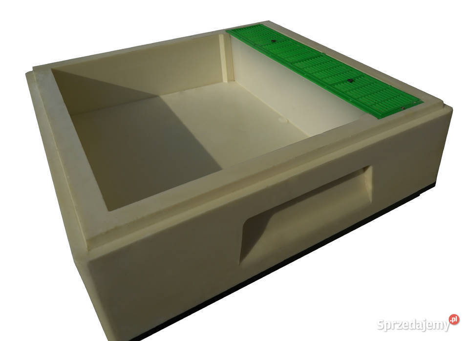 wielkopolski Powałkopodkarmiaczka Wielkopolska mazowieckie Płońsk