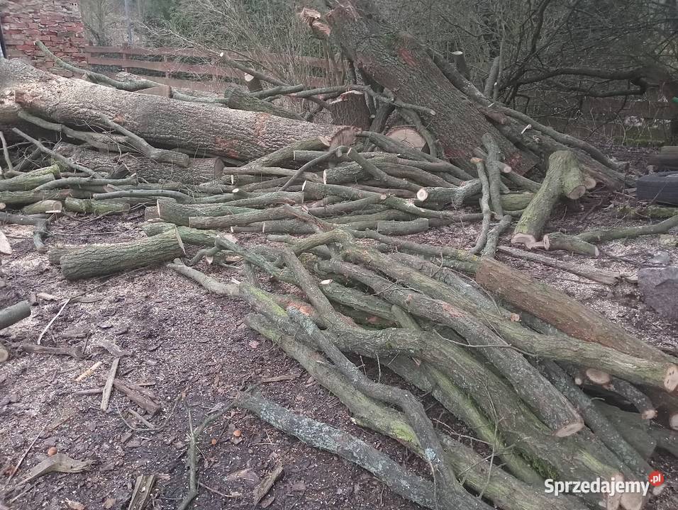 Sprzedam drewno kominkowe Podła Góra sprzedam