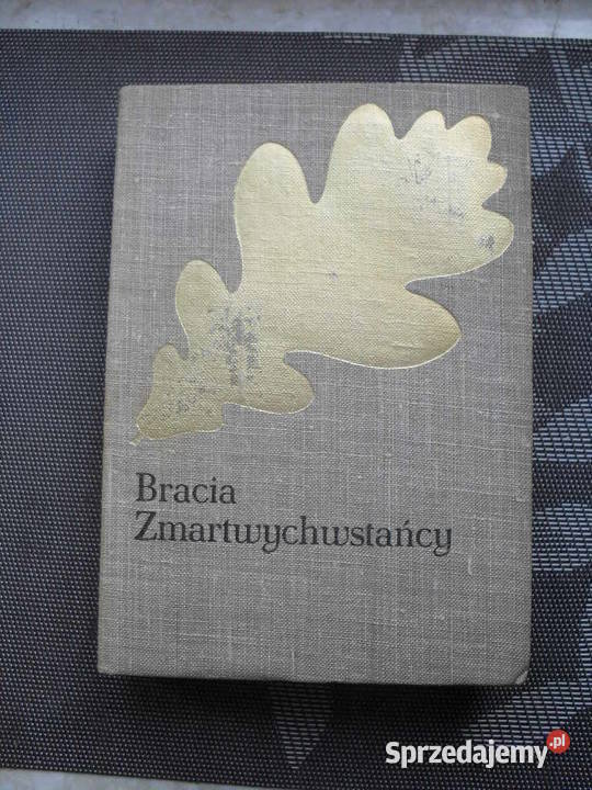 Bracia Zmartwychwstańcy - Józef Ignacy Kraszewski