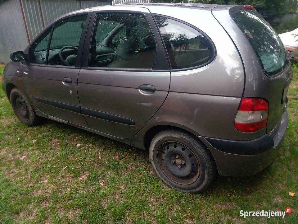 Renault Scenic 1 Kady