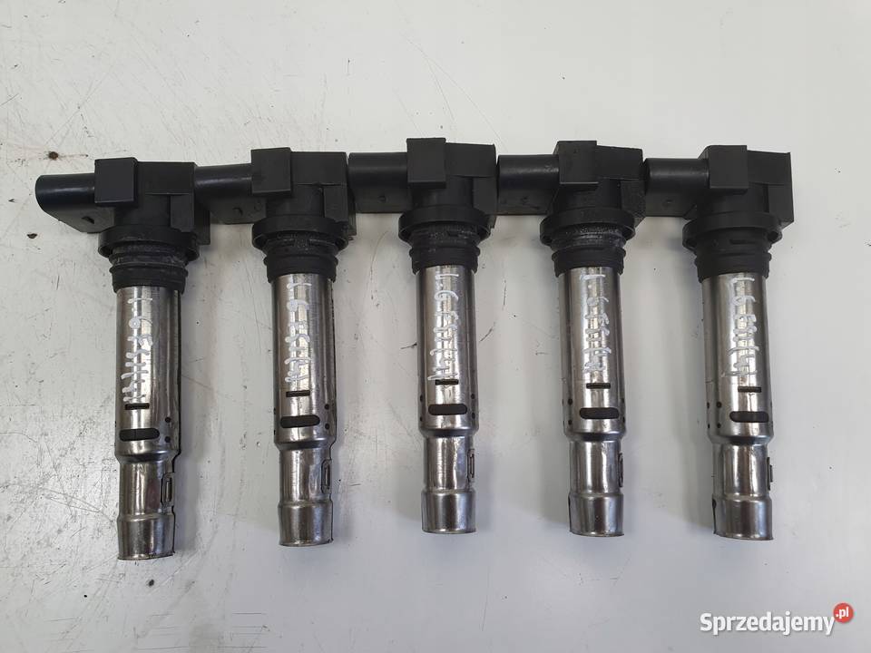 CEWKA ZAPŁONOWA VW Passat B6 16 FSI 0986221023 Pozostałe Rudka