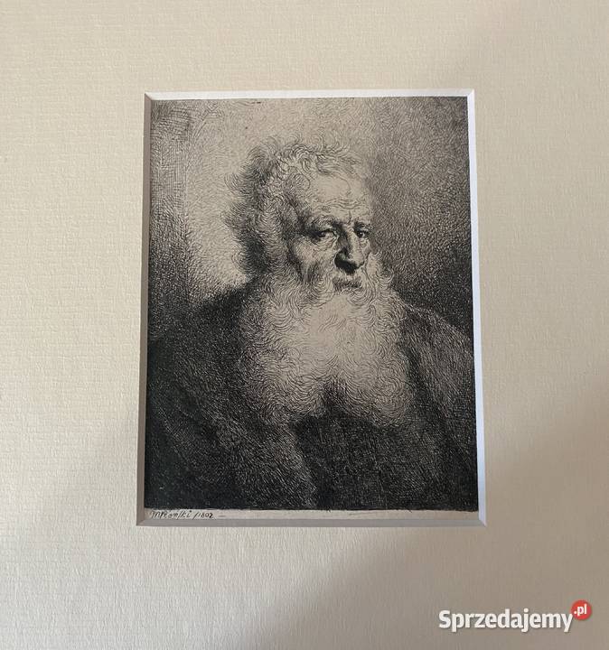 Michał Płoński17781812 akwaforta Głowa Poznań sprzedam