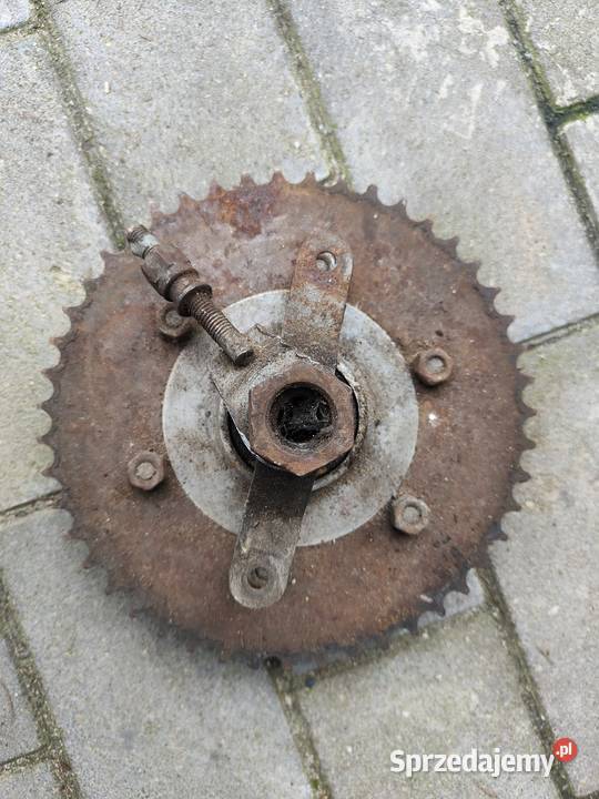 Zabierak SHL m 11 lubuskie Gorzów Wielkopolski