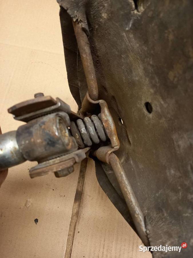 Siedzenie komar sztywniak mazowieckie Sokołów Podlaski