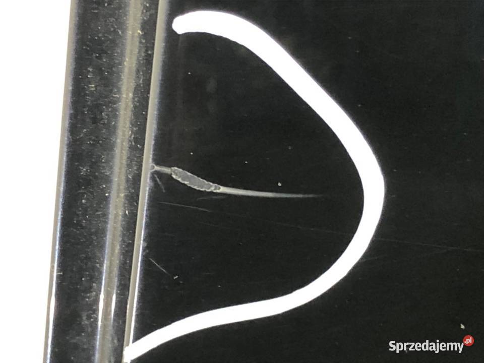 DRZWI LEWY TYŁ AUDI A4 B7 Kombi 0408 osobowe podkarpackie