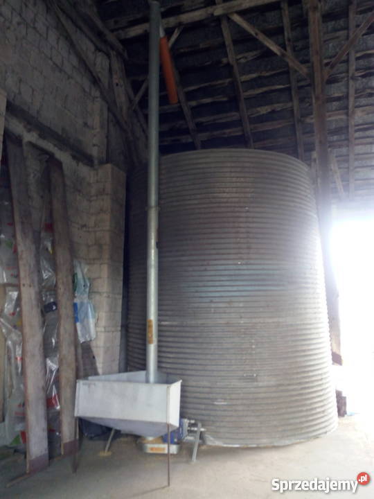 Żmijka pionowa 160 6m podlaskie