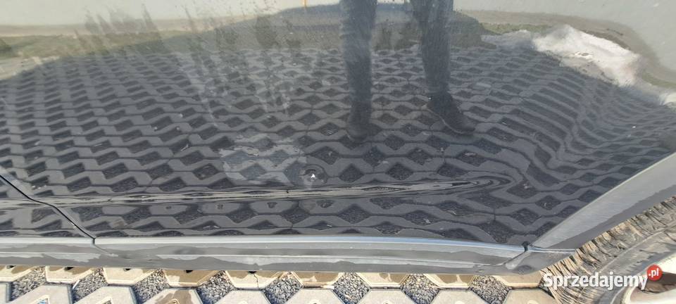 Chevrolet Orlando Dziuchów