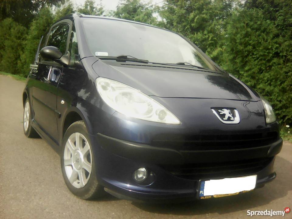 Peugeot 1007 14 BenzynaLPG podkarpackie Srogów Górny sprzedam