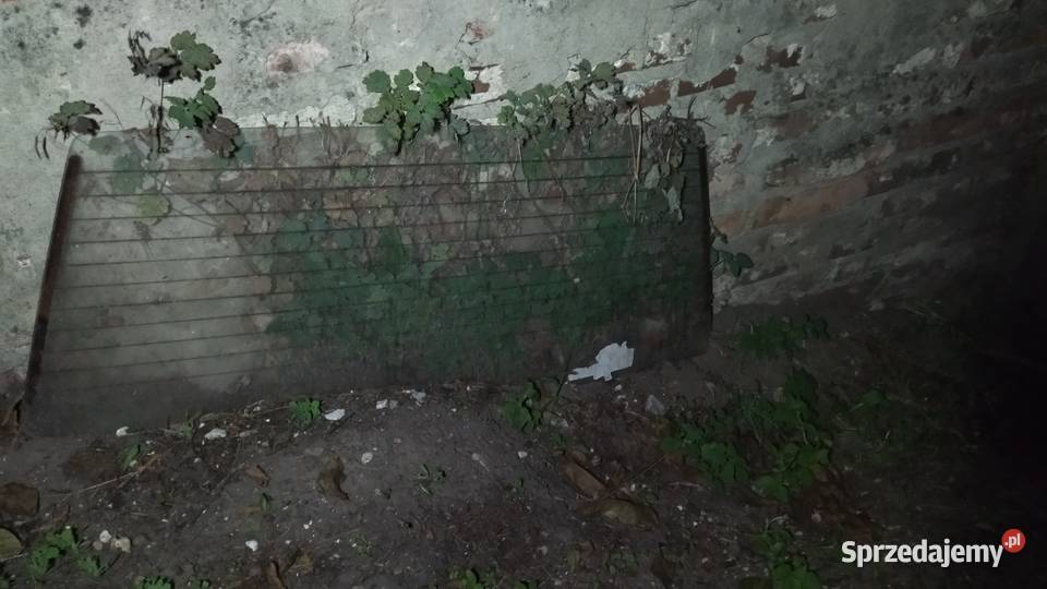 Golf II szuba tył tylna Stawki sprzedam