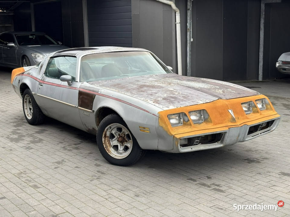 Pontiac Firebird Trans Am Pontiac Firebird 1981 Pontiac Sulechów