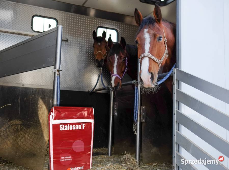 Stalosan F preparat do suchej dezynfekcji boksów Higiena i dezynfekcja pomieszczeń Strzelce Wielkie