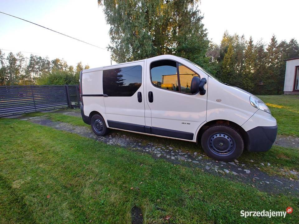 Renault Trafic II 20dci 115KM łódzkie Pabianice sprzedam