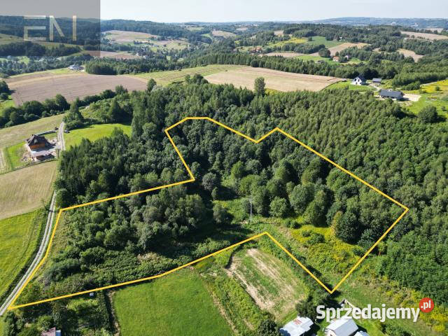 Działka Dobrzechów 13100m2 13100m2